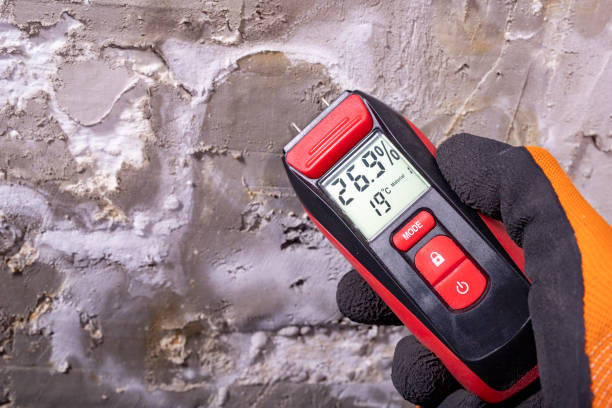 Best Local Mold Removal Service  in Ferguson, MO