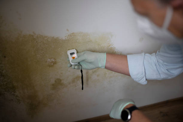 Best Water Damage Restoration  in Ferguson, MO