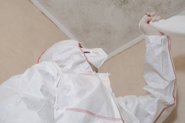 Best Commercial Mold Removal  in Ferguson, MO